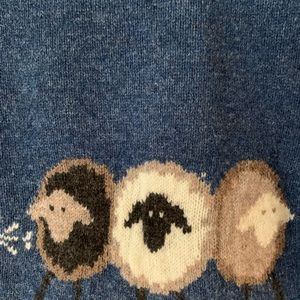 NWT Adorable Woolrich Blue Sweater